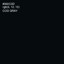 #060C0D - Cod Gray Color Image